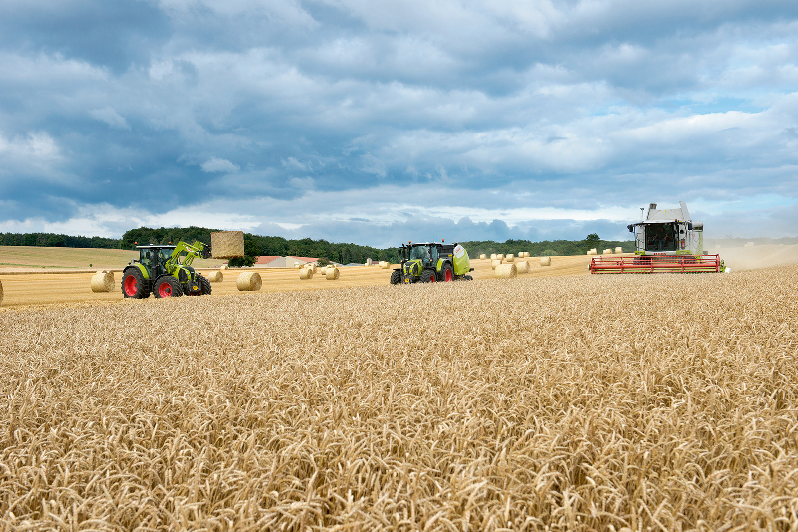 Afgrødesalg | Vi Hjælper Dig Med Afgrøderne | Danish Agro