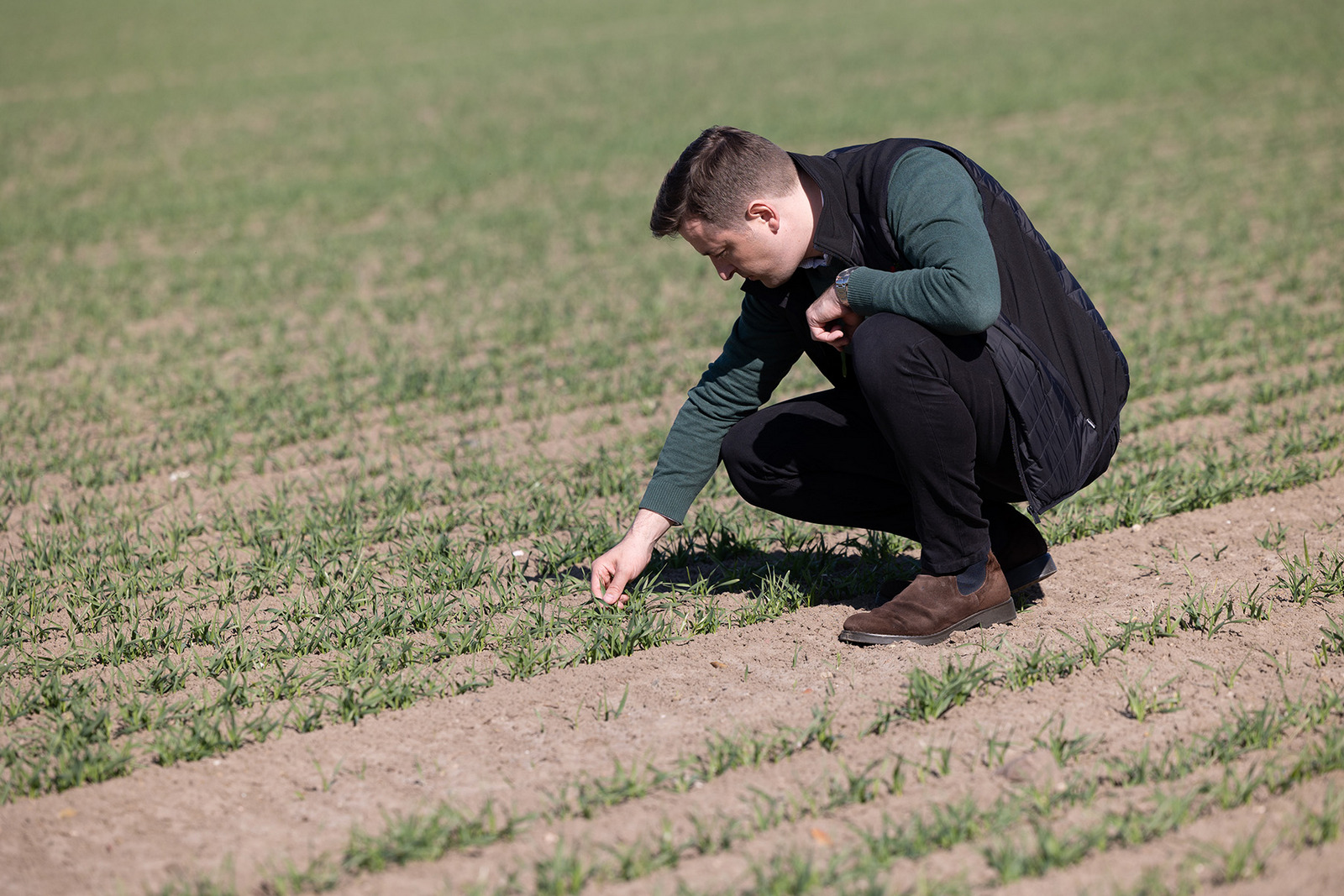 Økologisk Landbrug | Danish Agro